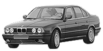 BMW E34 C12E9 Fault Code