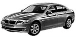 BMW F10 C12E9 Fault Code